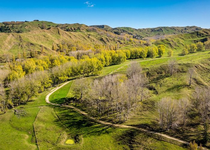  at 56 Nilsson Road, Elsthorpe, Central Hawke's Bay, Hawke's Bay