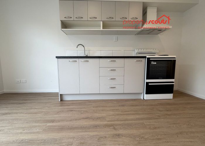  at 77E Bordesley Street, Phillipstown, Christchurch City, Canterbury