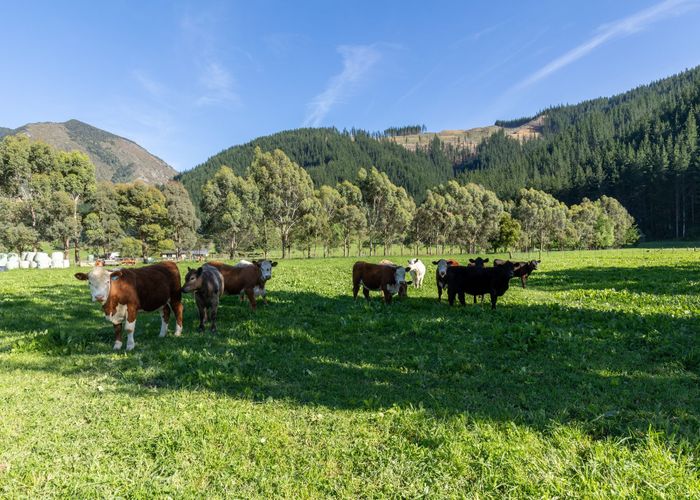  at 208 Mount Riley Road, Okaramio, Marlborough, Marlborough