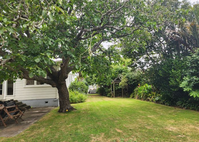 at 17 Nikau Grove, Woburn, Lower Hutt, Wellington