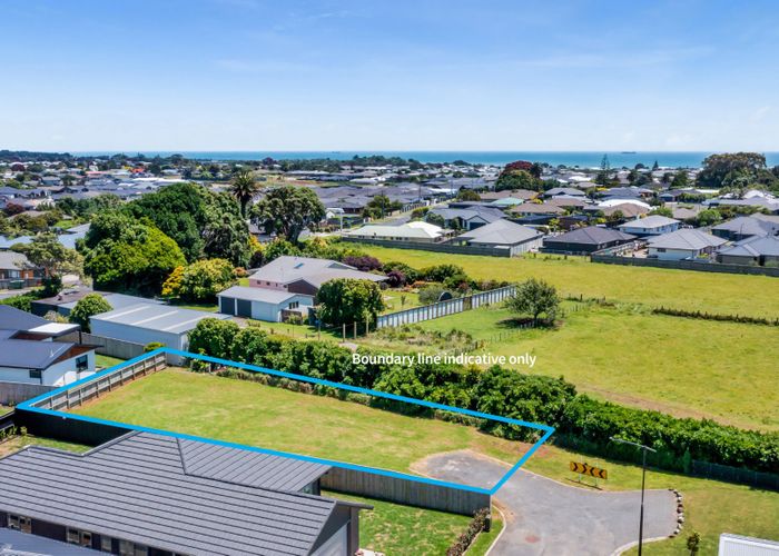  at 19 Roka Street, Bell Block, New Plymouth, Taranaki