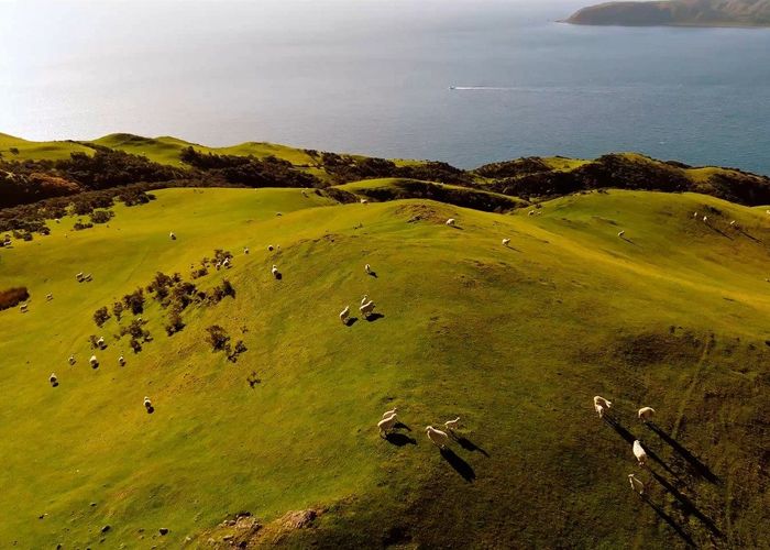  at Pikarere Farm, Porirua, Porirua, Wellington
