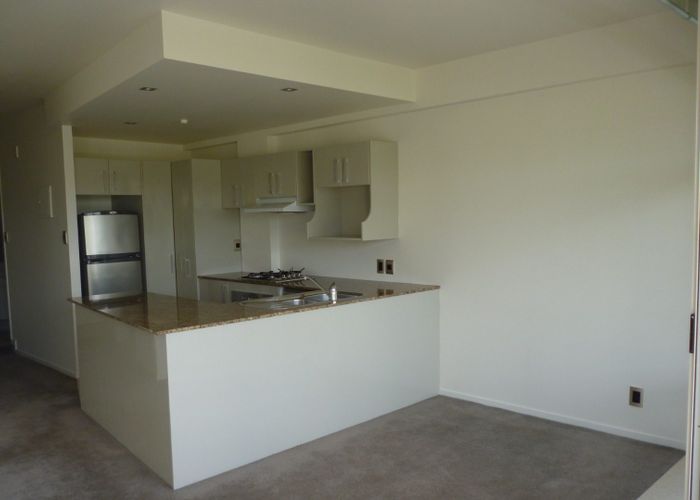  at 20/30 York Street, Parnell, Auckland