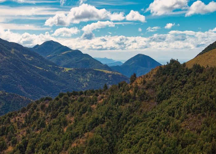  at Lot 3/DP403510 Puhi Puhi Valley Road, Kaikoura, Kaikoura, Marlborough