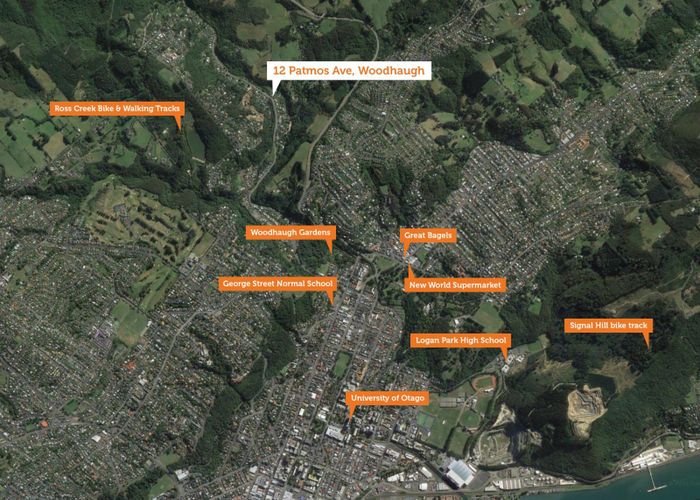  at 12 Patmos Avenue, Woodhaugh, Dunedin