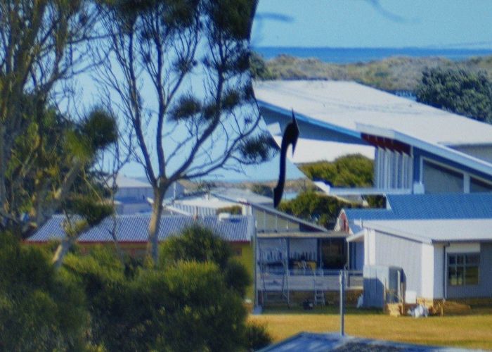  at 44 Matipo Street, Gonville, Whanganui, Manawatu / Whanganui