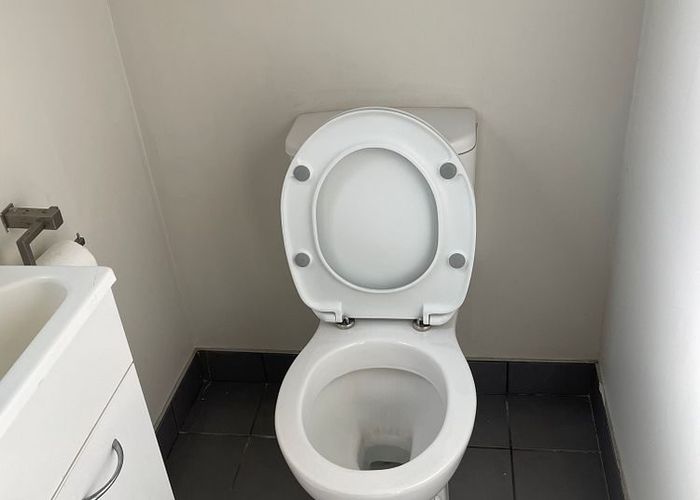  at 39C Landon Avenue, Mangere East, Manukau City, Auckland