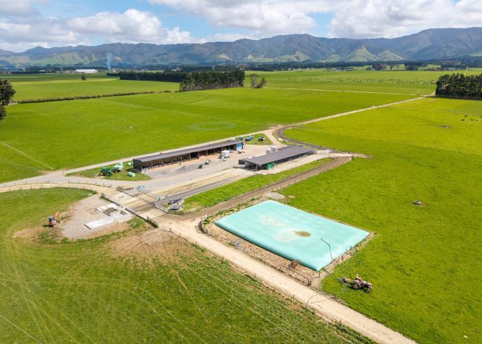  at 227 and 255 Te Rehunga North Road and 77 Tamaki River Road, Dannevirke, Tararua, Manawatu / Whanganui