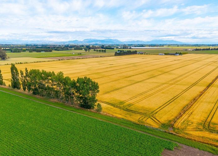  at 215 Falvey Road, Timaru, Timaru, Canterbury