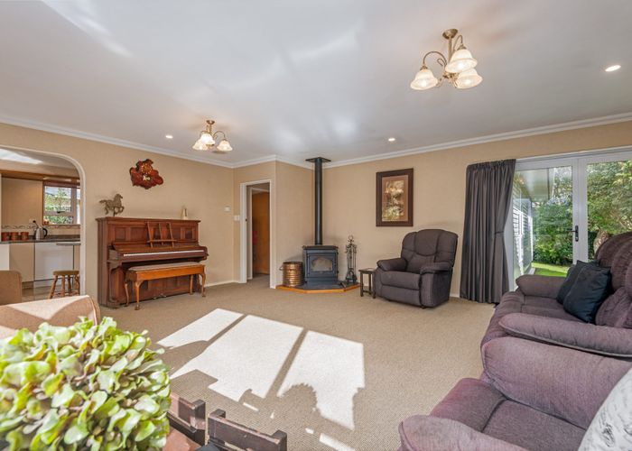  at 99 Ruamahanga Crescent, Terrace End, Palmerston North