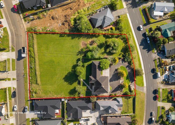  at 61 Dixon Road, Glenview, Hamilton, Waikato