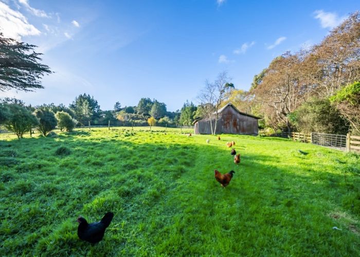  at 1031A Blue Mountains Road, Blue Mountains, Upper Hutt