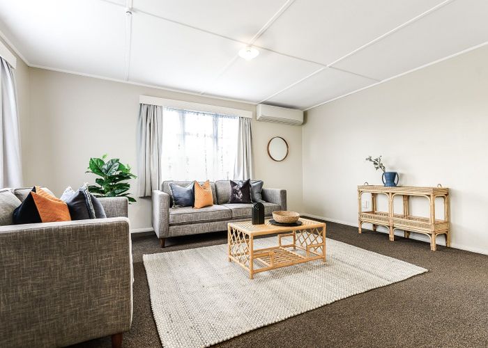  at 36 Rimu Street, Maeroa, Hamilton