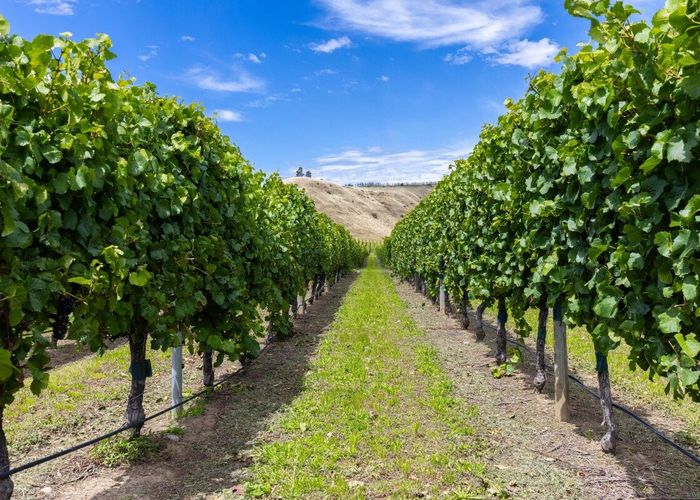  at Seaview Road, Seddon, Marlborough, Marlborough