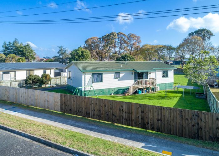 Free property data for 177 Hakanoa Street, Huntly, Huntly homes.co.nz