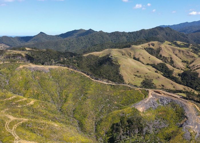  at 478 Port Charles Road, Coromandel, Thames-Coromandel, Waikato