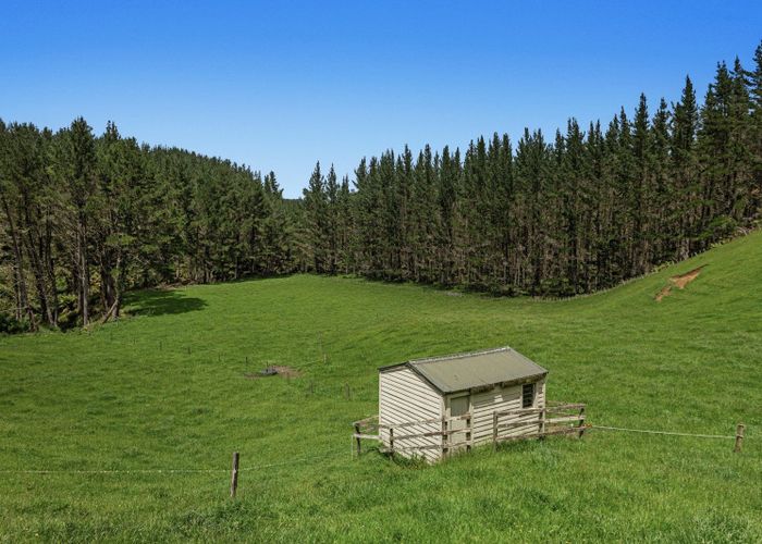  at 26 Settlement Road, Pikowai, Whakatane, Bay Of Plenty