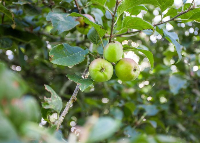  at 721 Thornton Road, Thornton, Whakatane, Bay Of Plenty