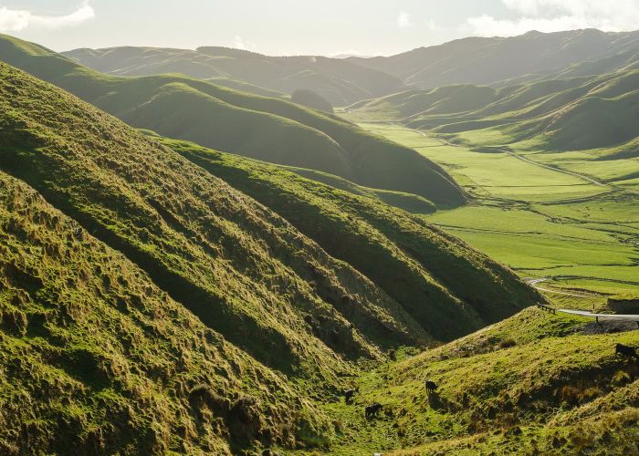  at 292 Boom Rock Road, Ohariu, Wellington, Wellington