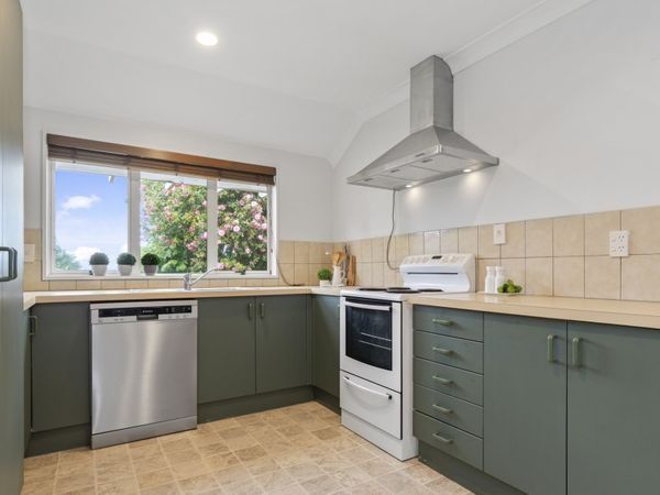  at 15 Paine Street, Judea, Tauranga, Bay Of Plenty