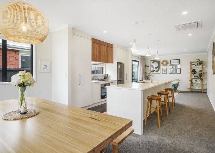  at 1 Mchaffie Way, Chartwell, Hamilton