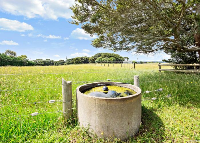  at 38 Kotuku Road, Waiuku