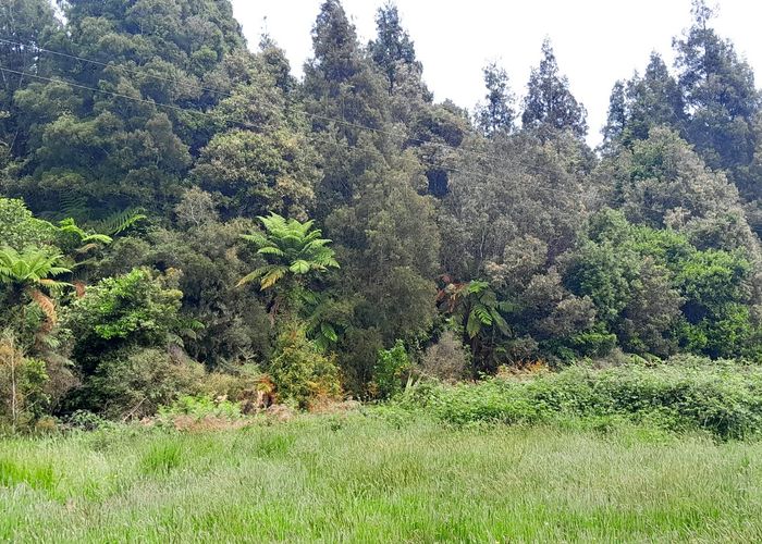  at 0 Wangapeka Rd, Little Wanganui, Karamea