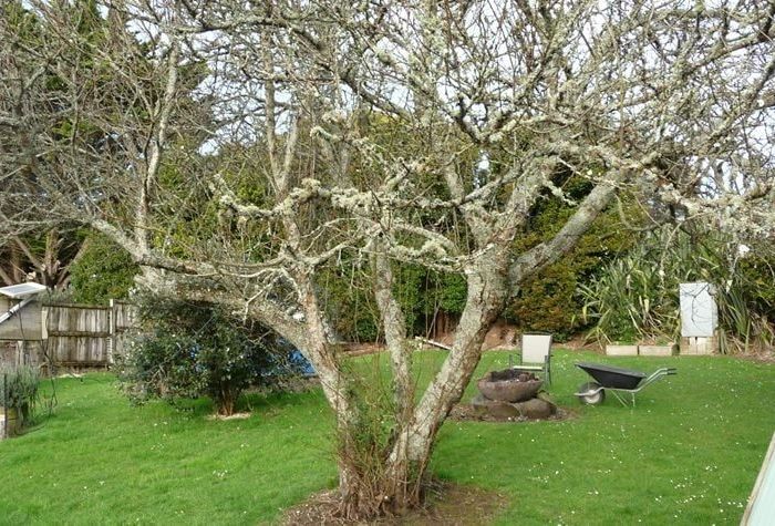  at 4 Seymour Road, Sunnyvale, Waitakere City, Auckland