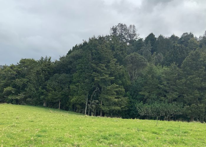  at 96 Awaroa River Road, Abbey Caves, Whangarei