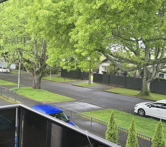  at 7/15 Piako Road, Claudelands, Hamilton, Waikato