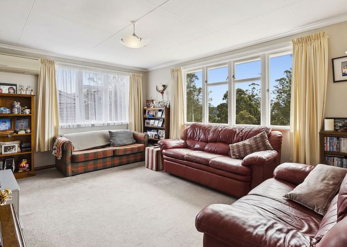  at 46 Cockerell Street, Brockville, Dunedin