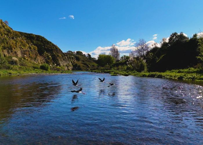  at Charlton Road, Te Awanga, Hastings, Hawke's Bay