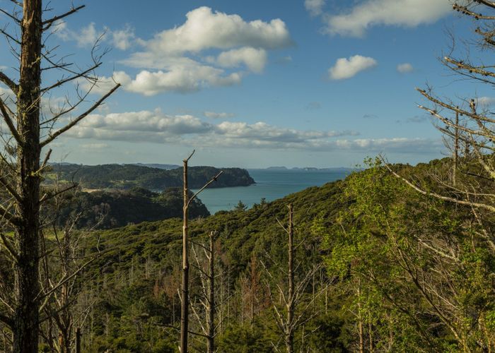  at 1/20 Taiwawe Lane, Hot Water Beach, Thames-Coromandel, Waikato