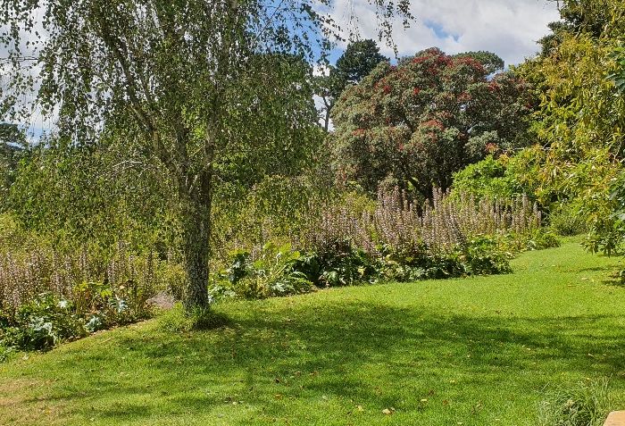  at 23 Elliot Street, Howick, Auckland