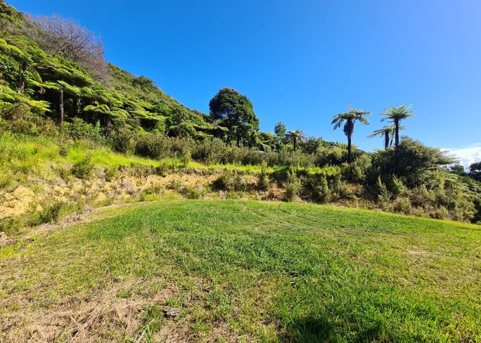 For sale 1092 Driving Creek Road, Coromandel, ThamesCoromandel