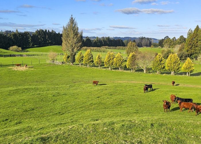  at 94 Oturoa Road, Hamurana