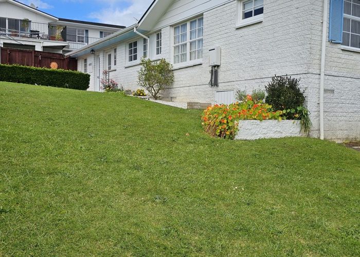  at 65 Poaka Avenue, Dinsdale, Hamilton