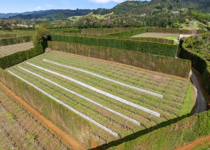  at 863 State Highway 2, Tanners Point, Western Bay Of Plenty, Bay Of Plenty
