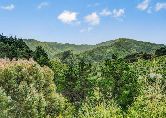  at 163a Maungaraki Road, Korokoro, Lower Hutt, Wellington