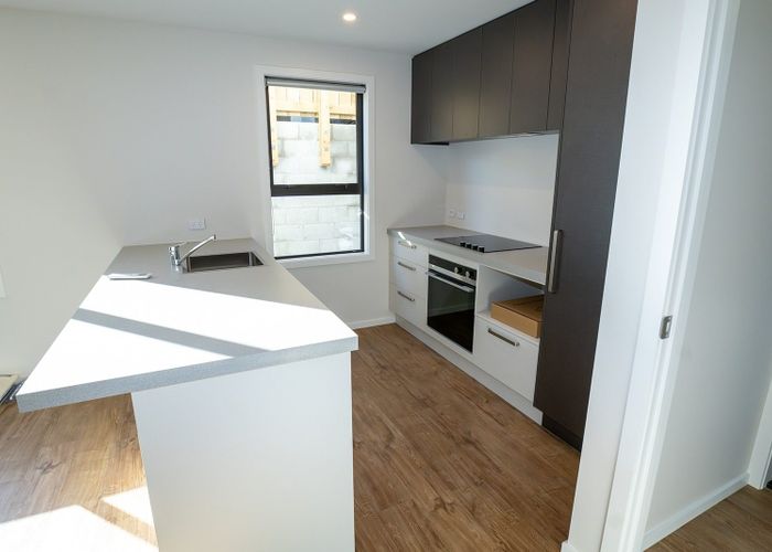  at 16 Peter Street, Caversham, Dunedin, Otago