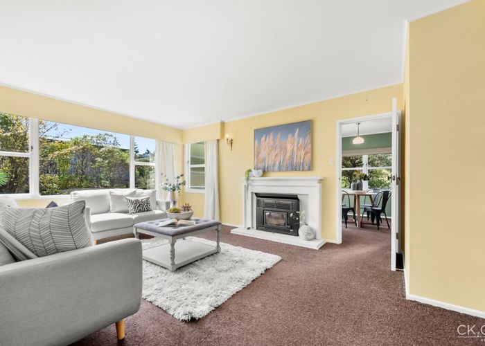  at 10 Cedar Street, Maungaraki, Lower Hutt, Wellington