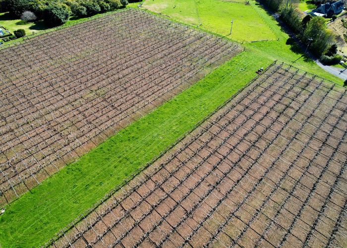  at 36 Echo Valley Way, Bethlehem, Tauranga, Bay Of Plenty