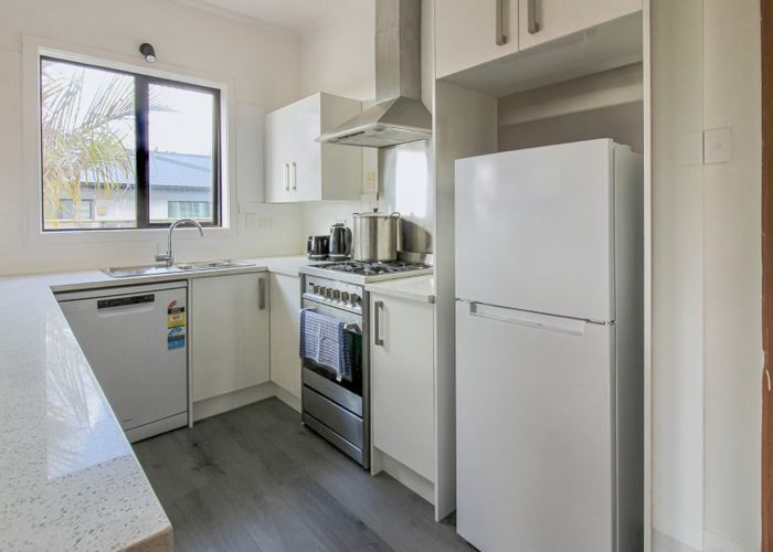 at 203 Bath Street, Levin, Levin