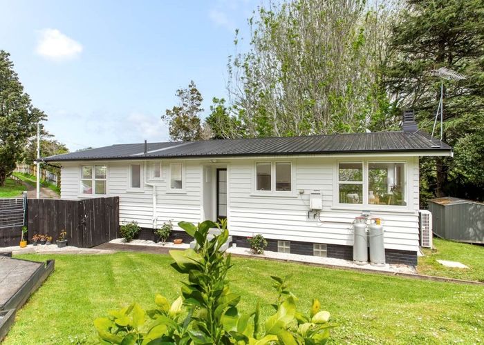  at 19 Laburnum Road, New Windsor, Auckland