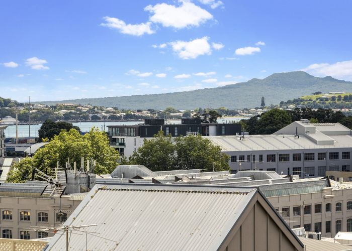  at 24 Bradford Street, Parnell, Auckland City, Auckland