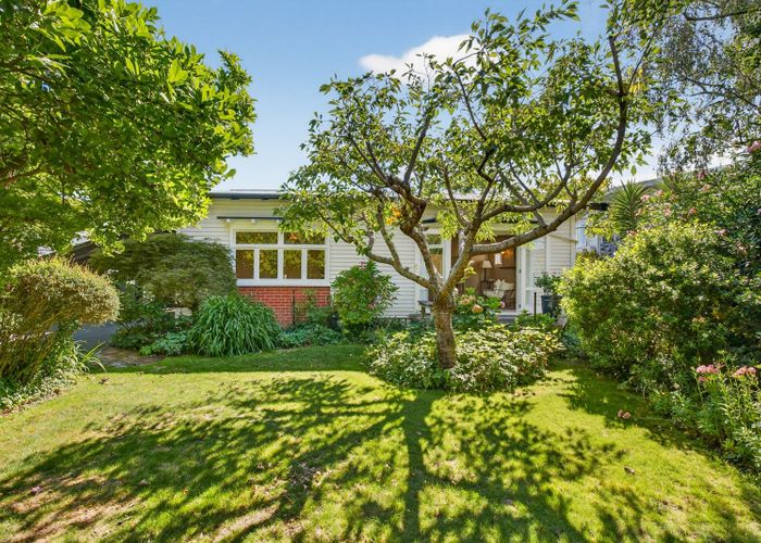  at 203 Prospect Road, Hastings, Hastings