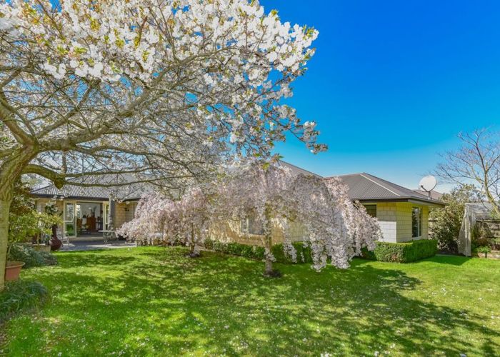  at 17 Pollock Place, Rolleston, Rolleston