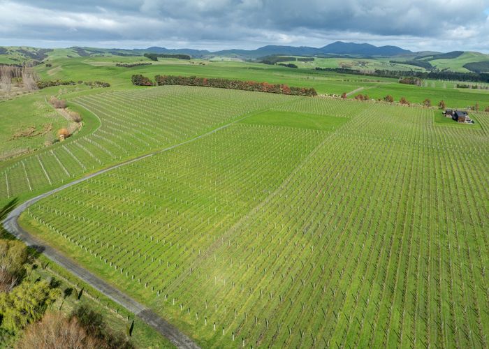  at Lot 3 Willow Lane, Martinborough, South Wairarapa, Wellington