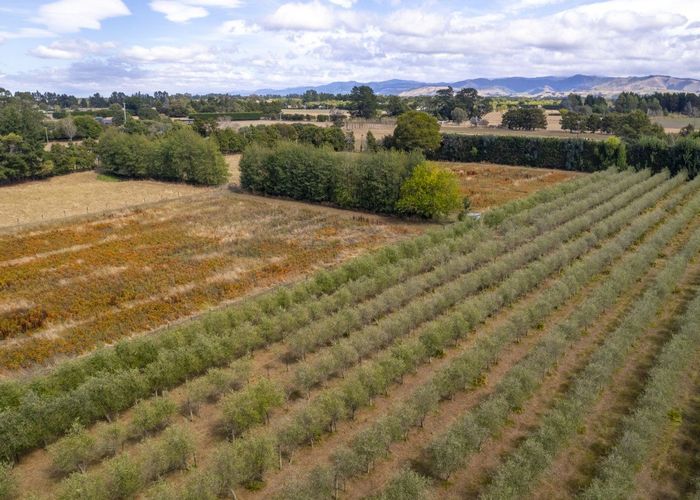  at 83 Boundary Road, Masterton, Masterton, Wellington