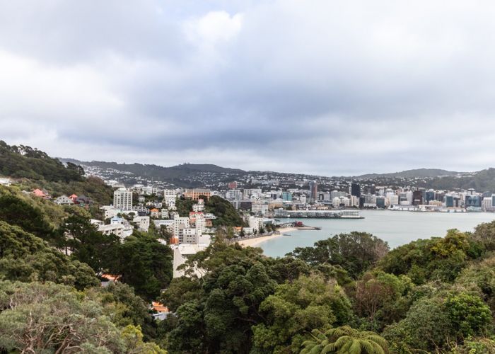  at 29a Grass Street, Roseneath, Wellington, Wellington